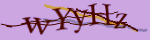 Enter the character string shown in the picture