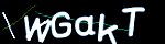 Enter the character string shown in the picture